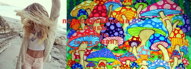 Псилоцибиновые грибы Magic Shrooms  даркнет сайт  Гуково 